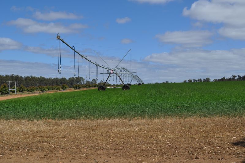 Property Size and Layout