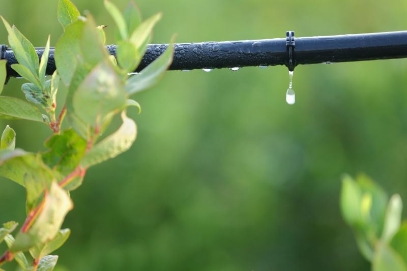 Drip Irrigation Solutions